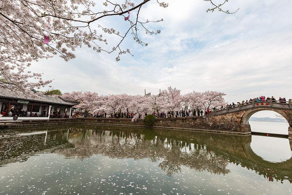  电影《密室逃脱》改档11月1日 万圣节千场活动开启百鬼夜行